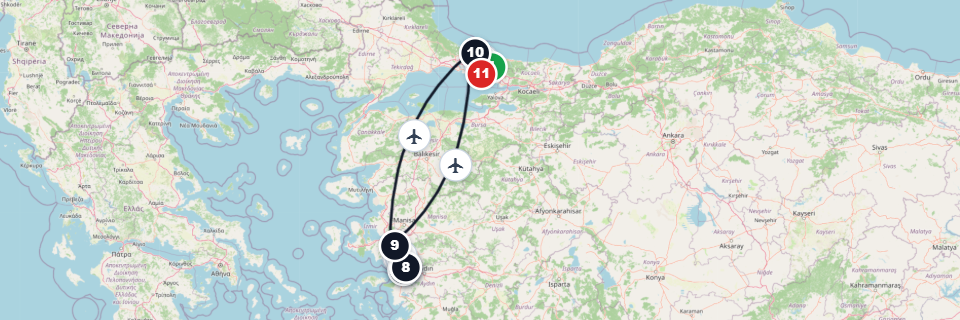 Private Ephesus Flight Tour