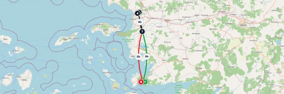 Private Ephesus Shore Museum Tour