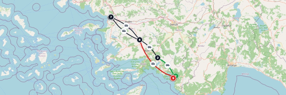 Small-Group Ephesus Tour from Calis