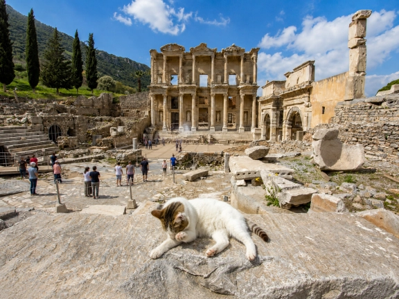 Izmir Airport to Ephesus: Best Transfer and Tour Options