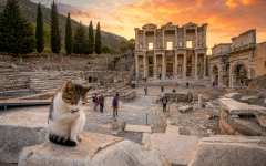 Half-Day Ephesus and St. John Basilica Group Tour from Selcuk
