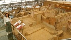 Terrace Houses