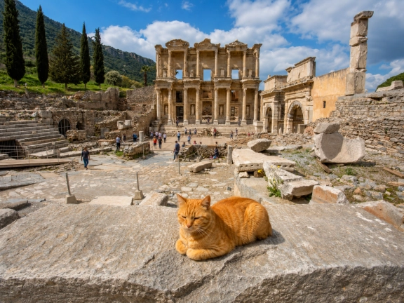 Ephesus, Virgin Mary & Artemis Private Tour from Kos - 2 Days Return Ferry Package