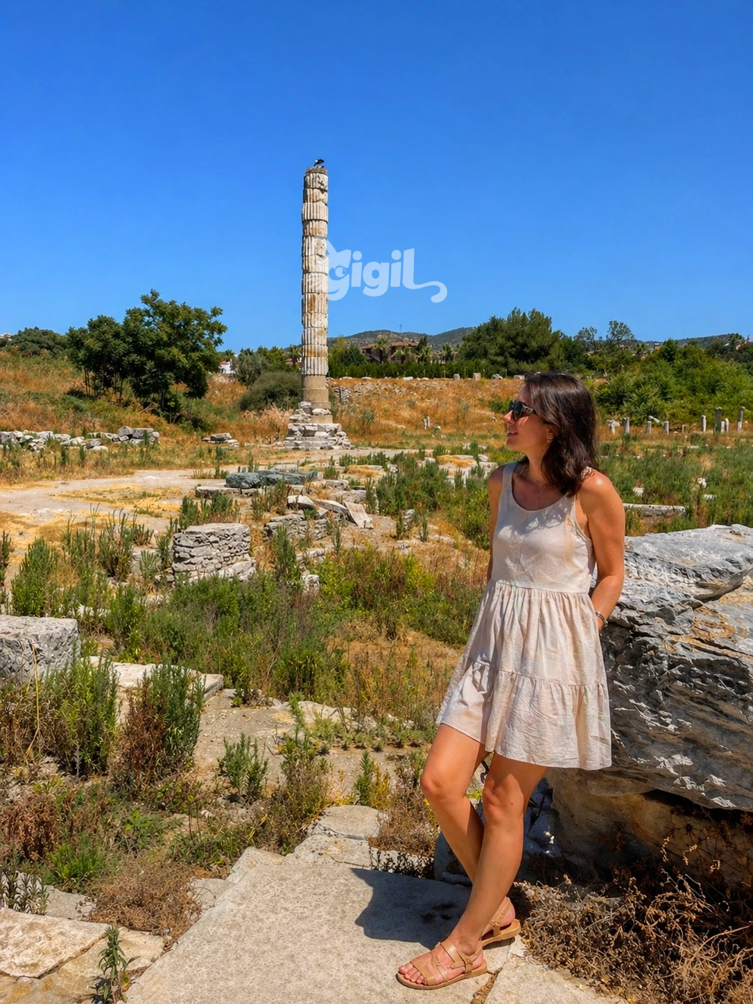 Temple of Artemis Site Perspective