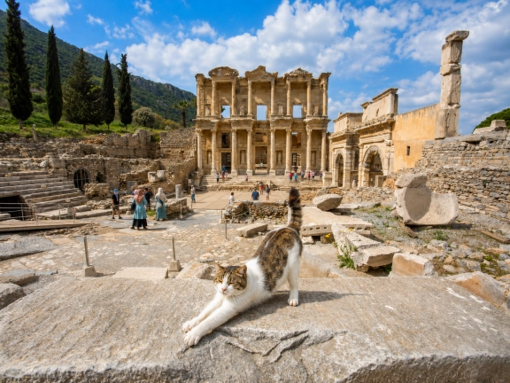 Biblical Ephesus Private Ferry Day Tour from Rhodes with Izmir Drop-off