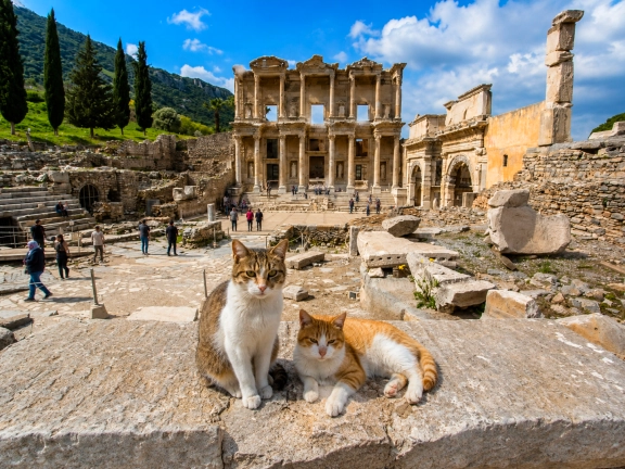 Private Ephesus, Virgin Mary & Museum 2-Day Tour from Marmaris by Bus