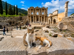 Private Ephesus, Virgin Mary & Museum 2-Day Tour from Marmaris by Bus