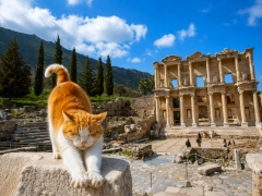 Ephesus Ancient City & St. John Basilica 3-Day Small-Group Ferry Package from Leros Port