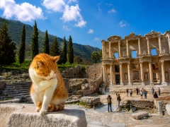 2-Day Private House of Virgin Mary, Seven Sleepers, Ephesus & St. John Basilica Tour from Kemer by Transfer Vehicle
