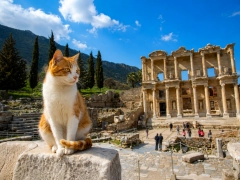 2-Day Ephesus, Terrace Houses & Temple of Artemis Group Tour from Antalya by Flight