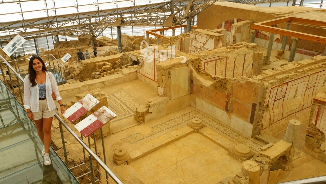 Terrace Houses Cultural Room Detail