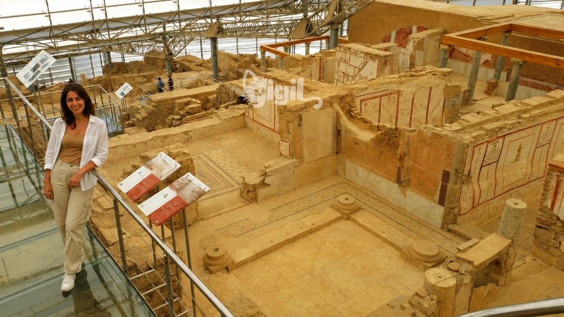 Terrace Houses Archaeological Context